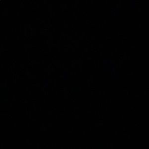 Meet your Posher, Hope